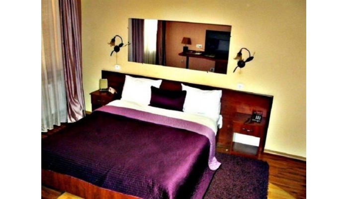 Art Rustic Boutique Hotel poza 1